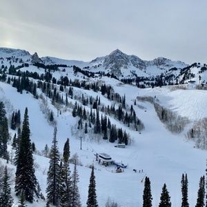 Meet your Posher, Karin